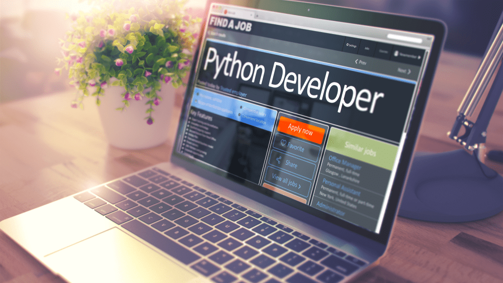 Top 10 Beginner Tips for Learning Python Programming - MindxMaster