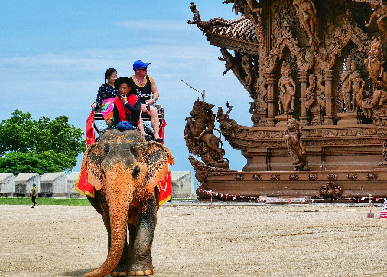 Thailand Travel Elephant 