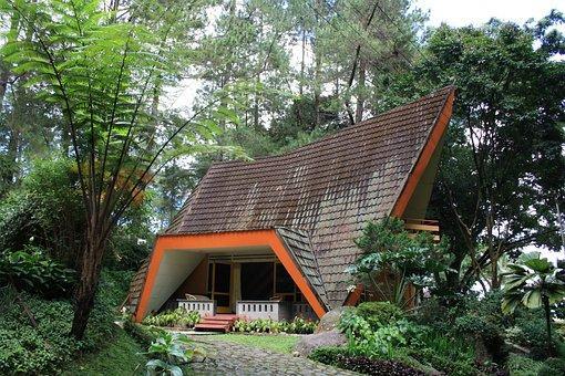 Lodge, Forest, Architecture, Home