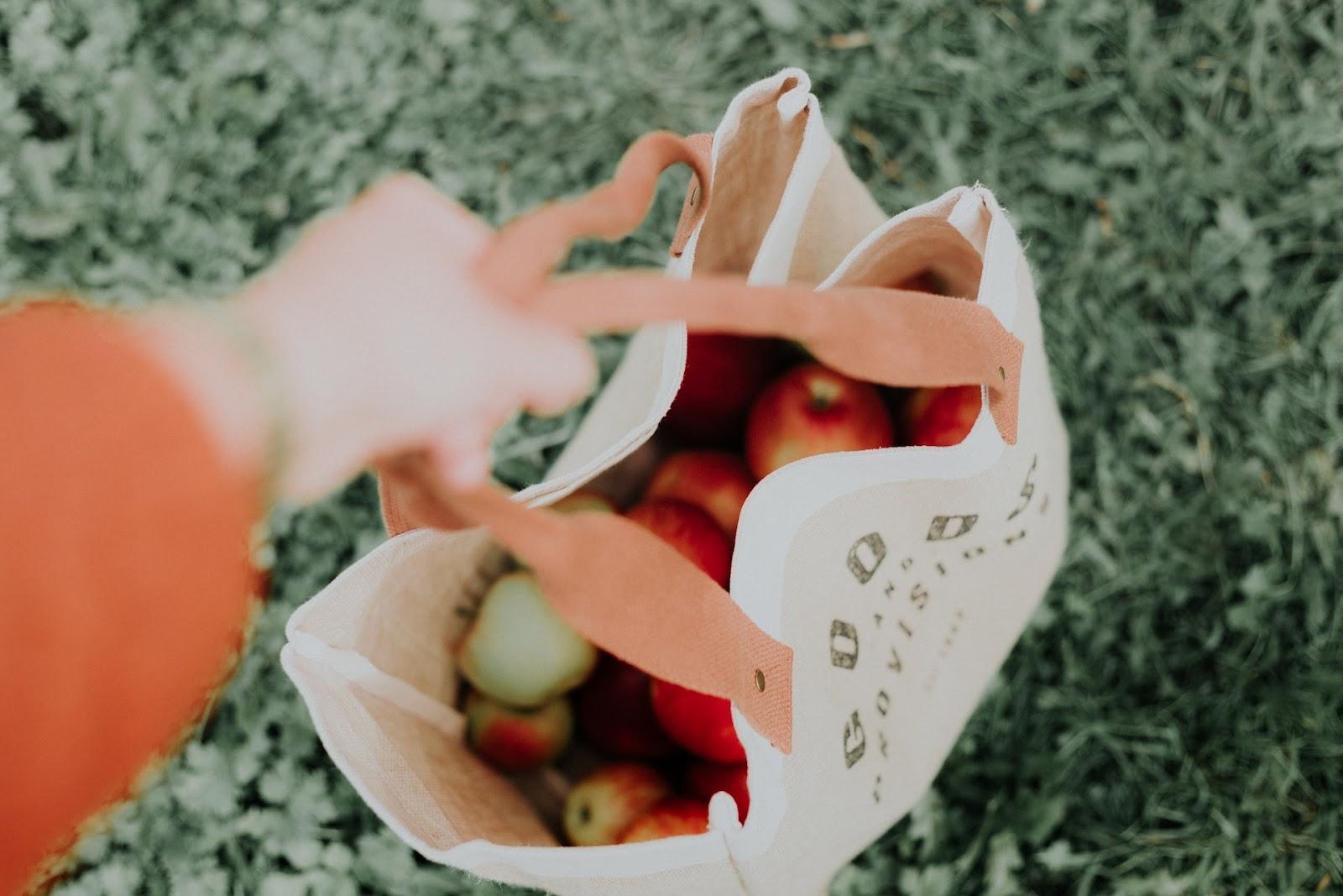 Save Time & Money With The Advantages of Online Grocery