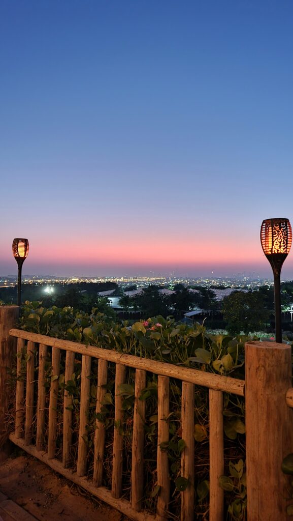 Dubai Safari Park dinner