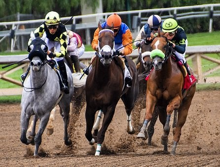 How to Have the Horseback Riding As On of the best Travel Adventure?