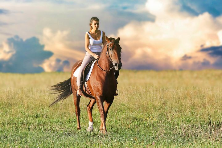 How to Have the Horseback Riding As On of the best Travel Adventure?